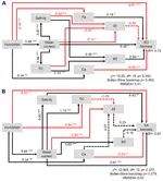 Distinct Community Assembly Processes of Abundant and Rare Soil Bacteria in Coastal Wetlands along an Inundation Gradient