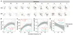 Increasing Inundation Frequencies Enhance the Stochastic Process and Network Complexity of the Soil Archaeal Community in Coastal Wetlands